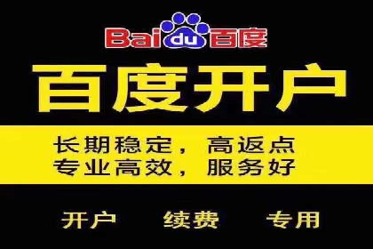 案例解析：百度推广排名提升的实战技巧