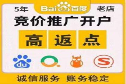 百度网络推广实战案例：从零开始打造爆款品牌